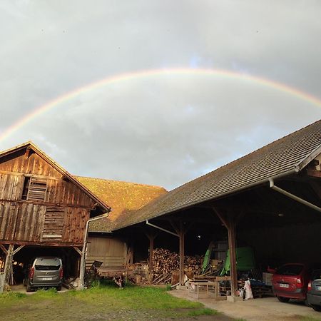 Chez Marguerite Gites A La Ferme Horbourg-Wihr Exterior photo