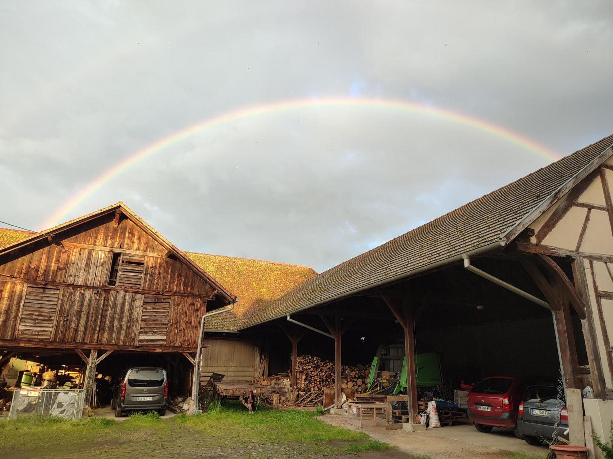 Chez Marguerite Gites A La Ferme Horbourg-Wihr Exterior photo